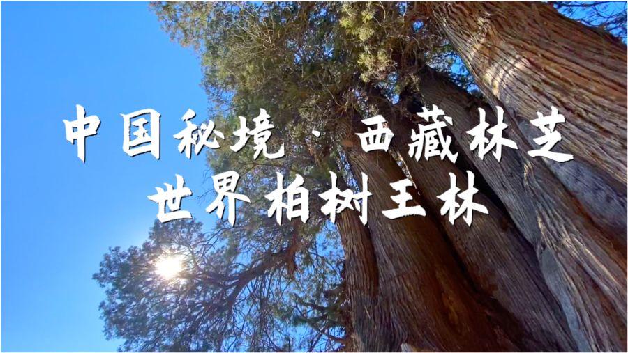 拯救受伤的男人
